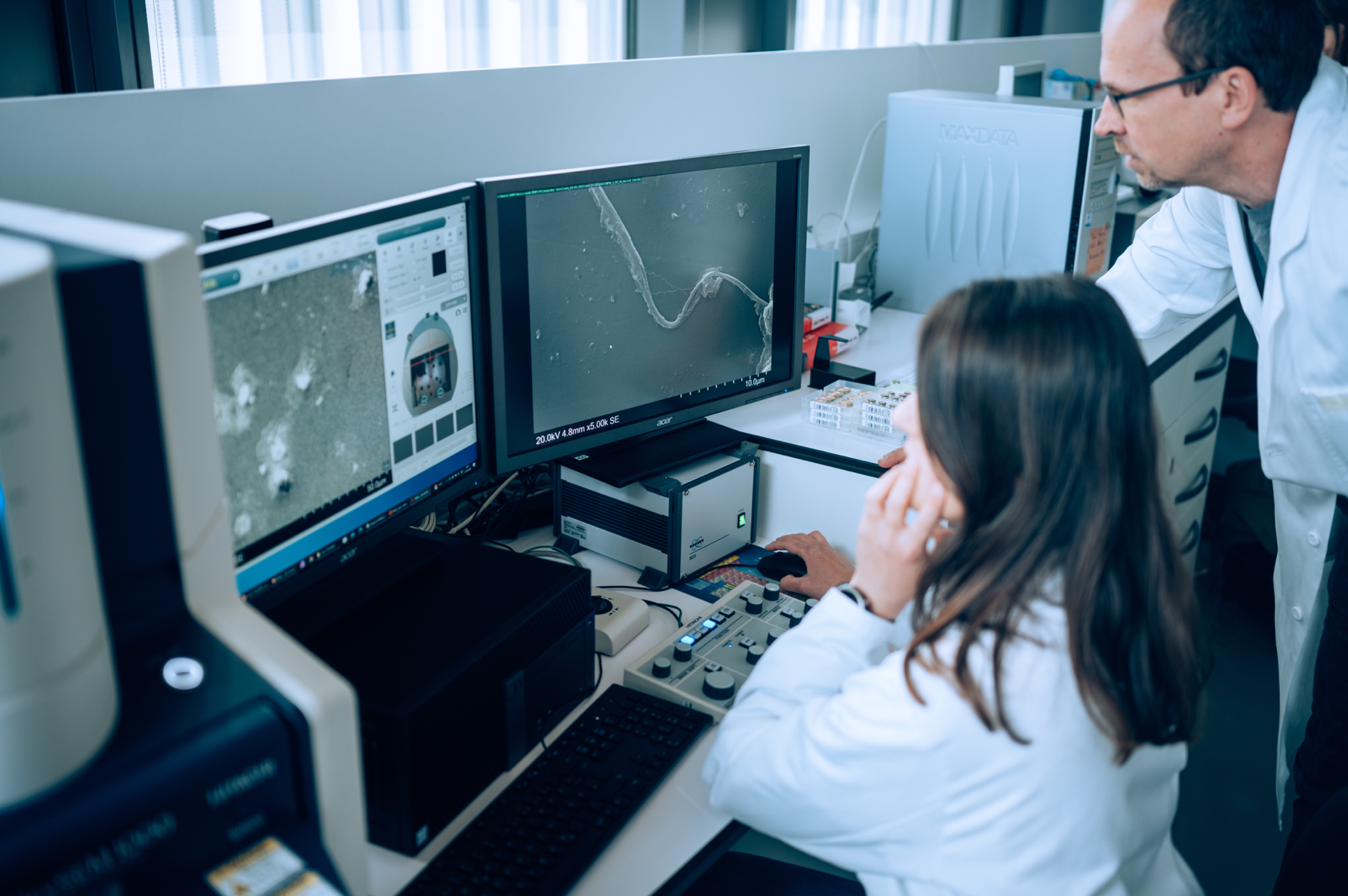 Endotoxin-neutralizing mechanisms in whole blood